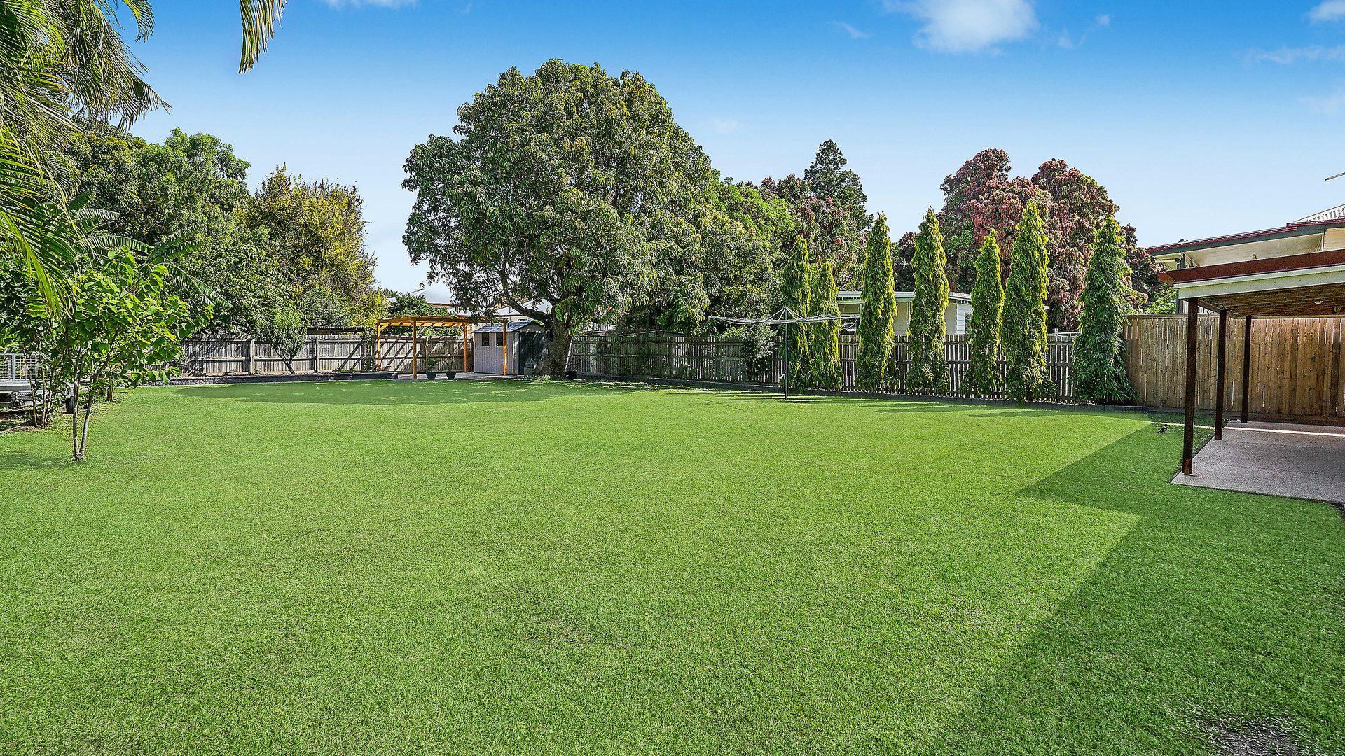 Sold - 12 Henderson Street - New Property in Park Avenue - Real Estate by Michael Millers