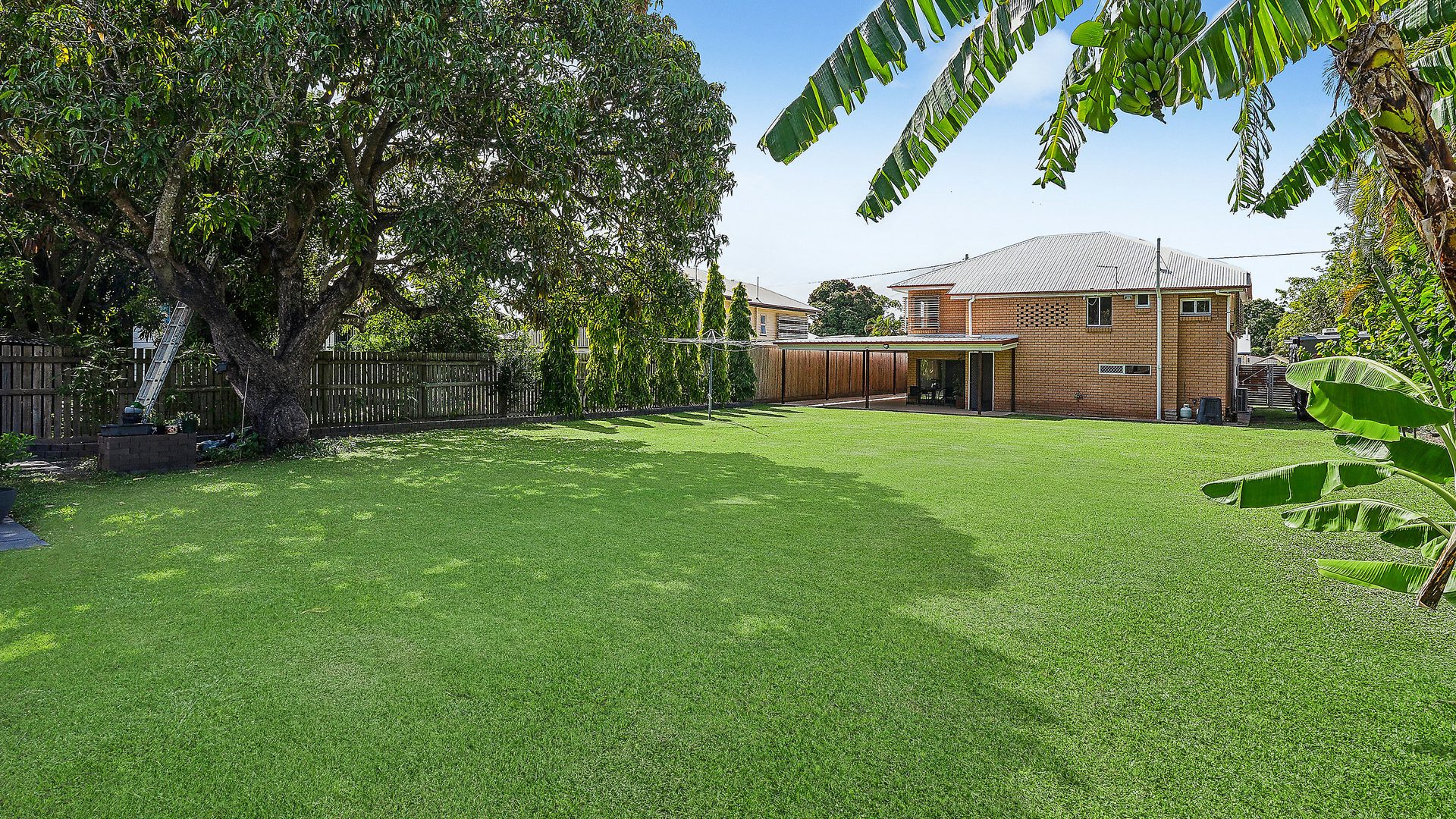 Sold - 12 Henderson Street - New Property in Park Avenue - Real Estate by Michael Millers