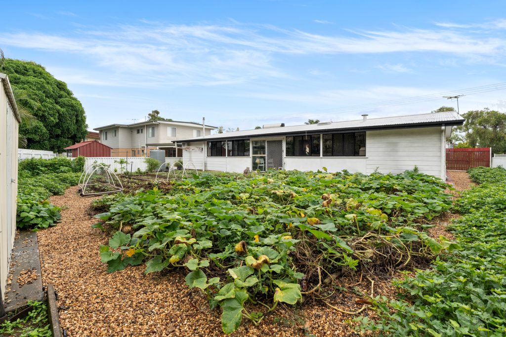 Sold - 25 Harwood Street - New Property in Park Avenue - Real Estate by Michael Millers