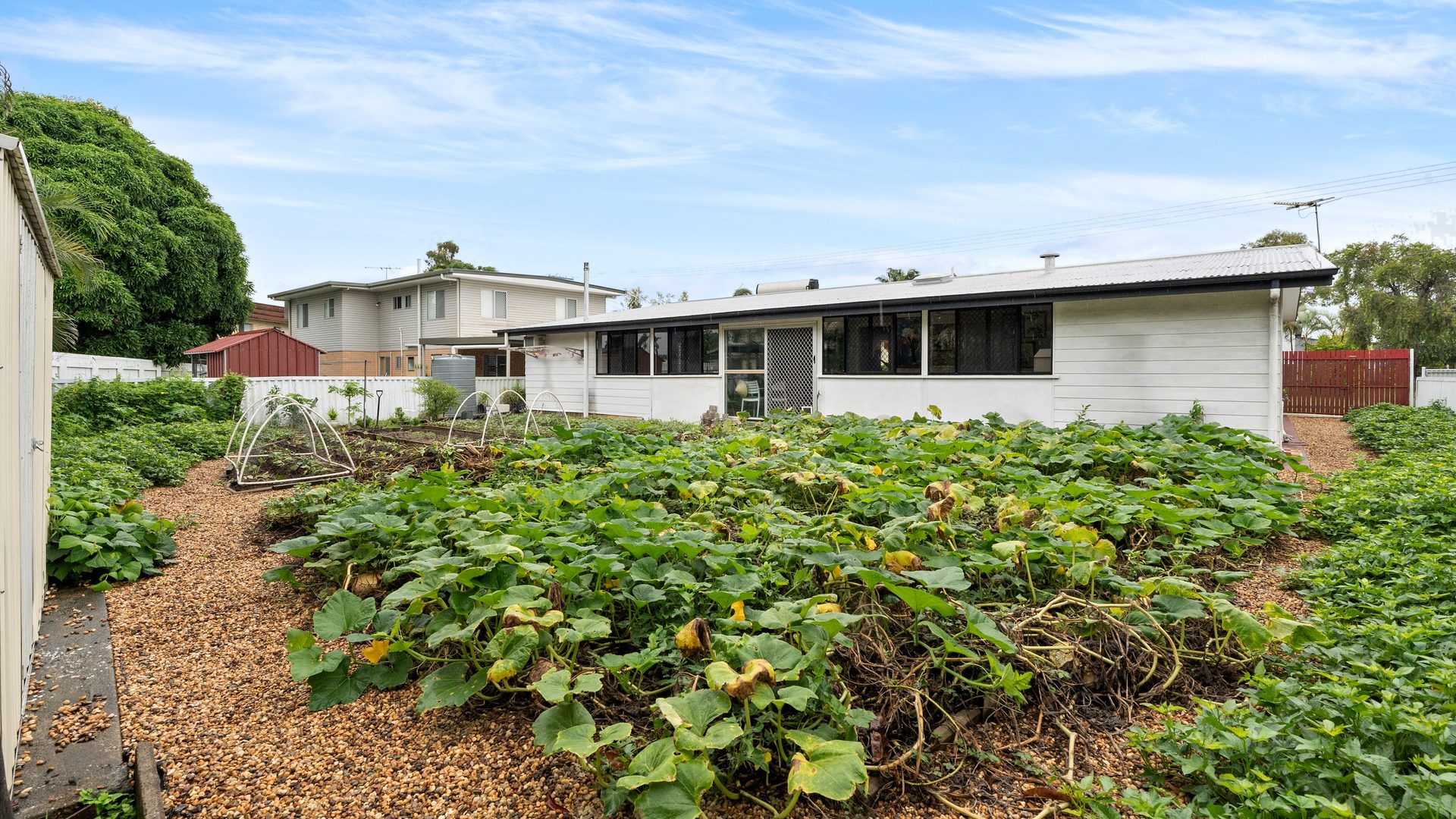 Sold - 25 Harwood Street - New Property in Park Avenue - Real Estate by Michael Millers