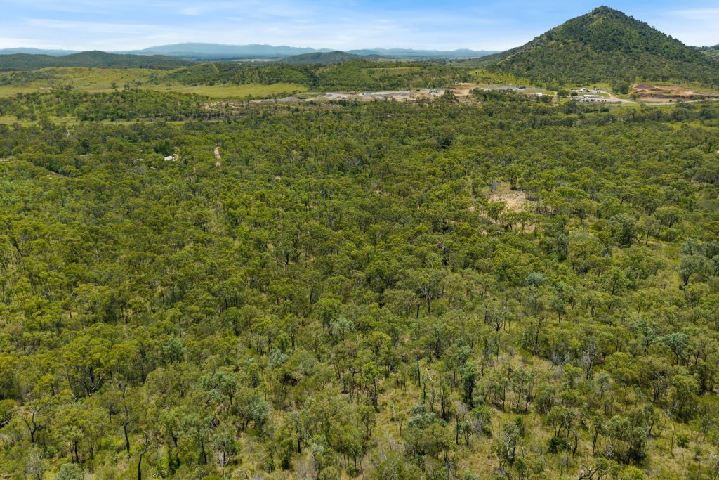 Sold -  Plentiful Creek Road - New Property in The Caves - Real Estate by Michael Millers