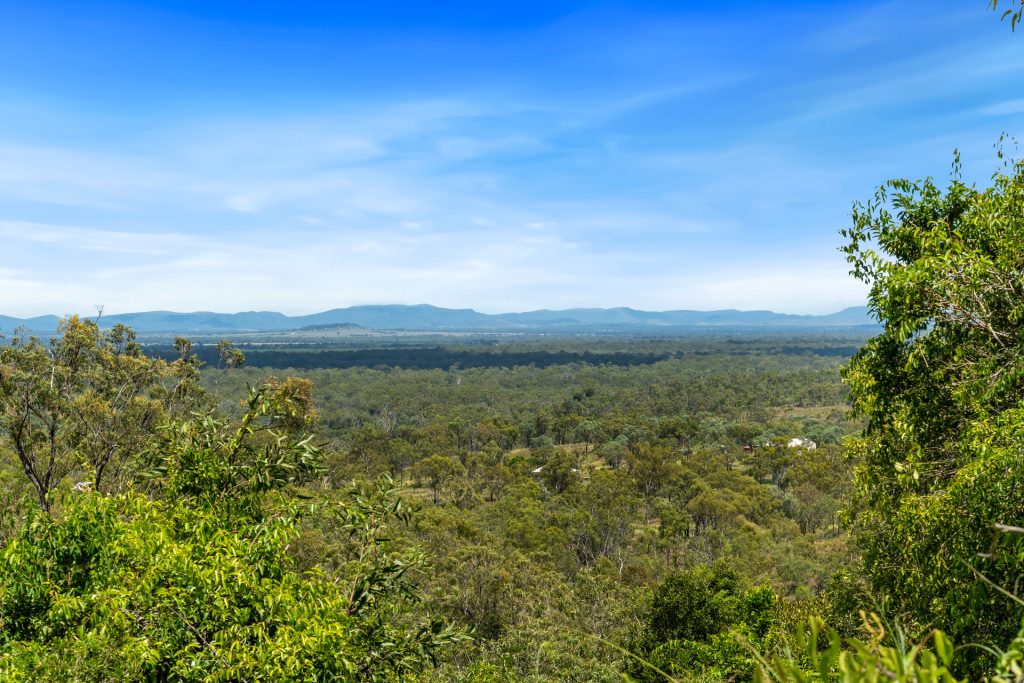 Sold -  Plentiful Creek Road - New Property in The Caves - Real Estate by Michael Millers