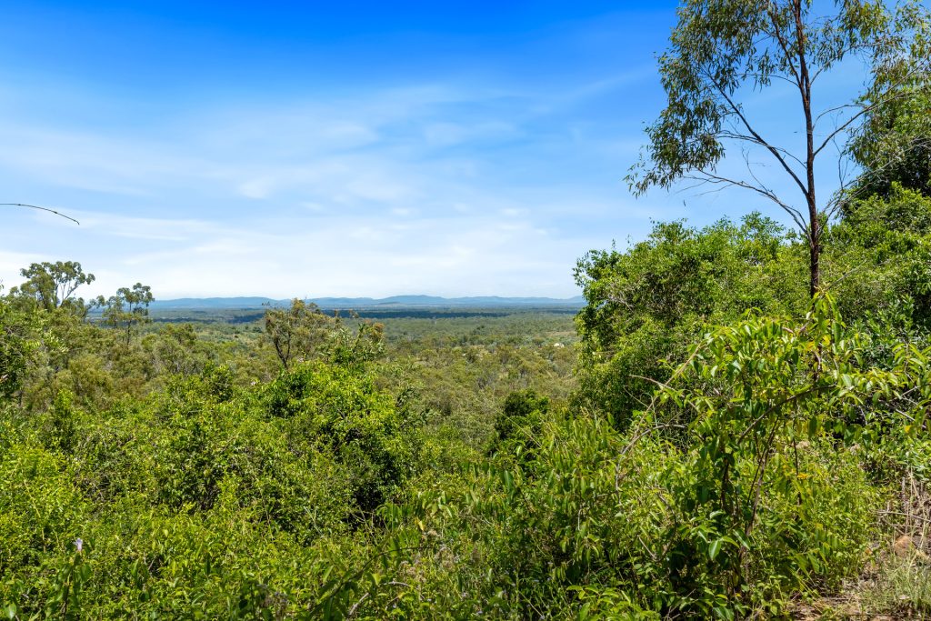 Sold -  Plentiful Creek Road - New Property in The Caves - Real Estate by Michael Millers
