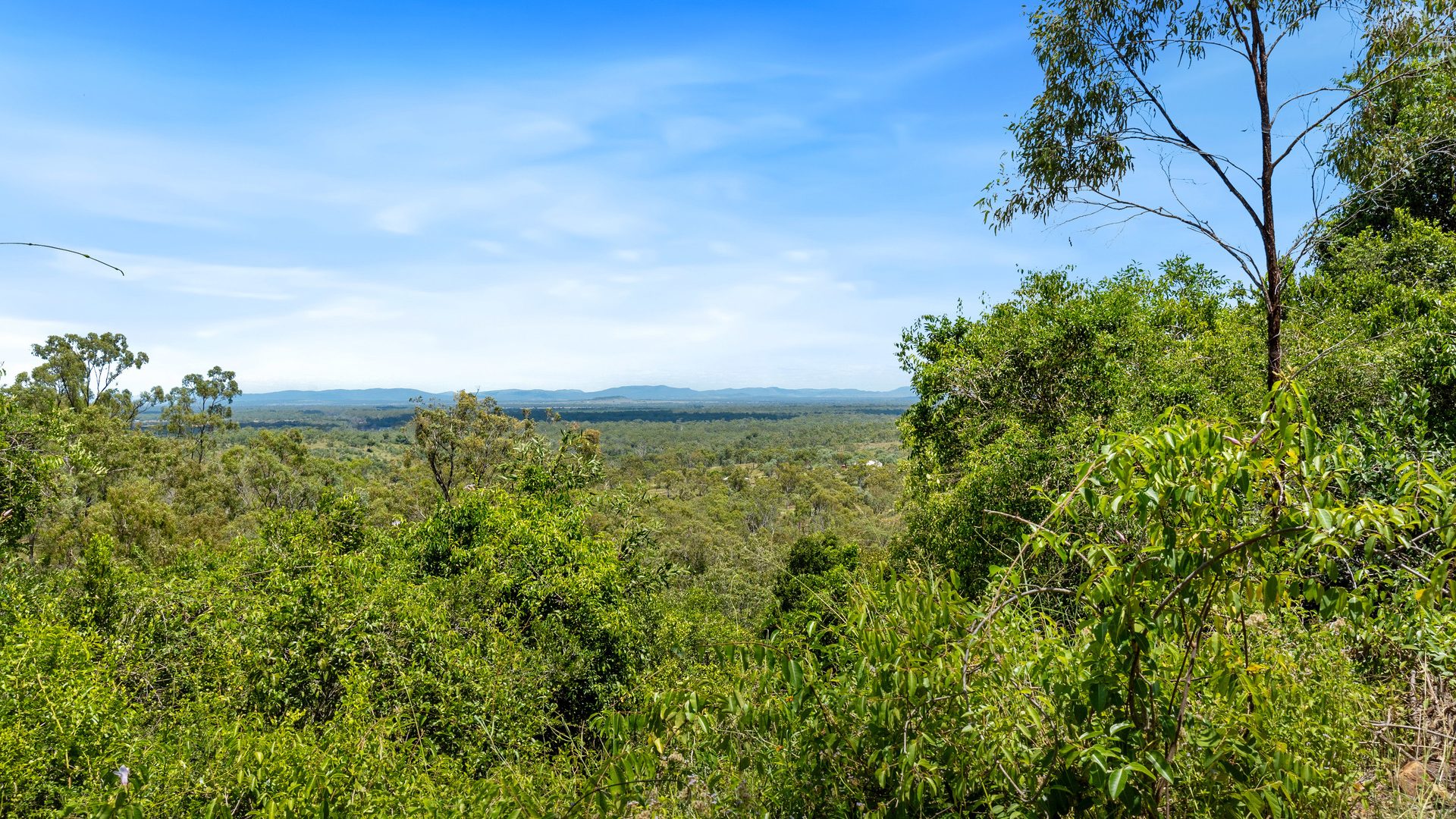 Sold -  Plentiful Creek Road - New Property in The Caves - Real Estate by Michael Millers