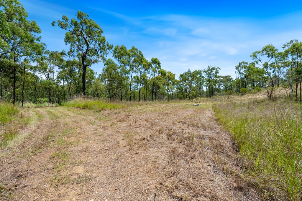 Sold -  Plentiful Creek Road - New Property in The Caves - Real Estate by Michael Millers