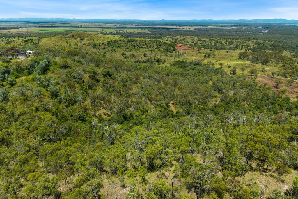 Sold -  Plentiful Creek Road - New Property in The Caves - Real Estate by Michael Millers
