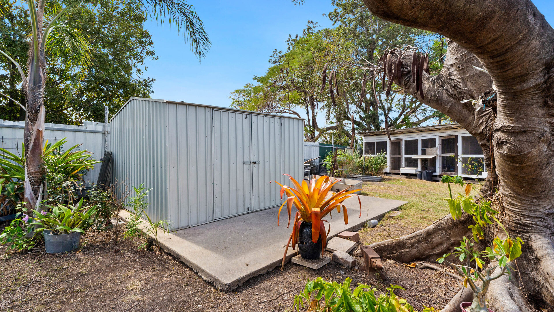 For Sale - 120 Haynes Street - New Property in Kawana - Real Estate by Michael Millers