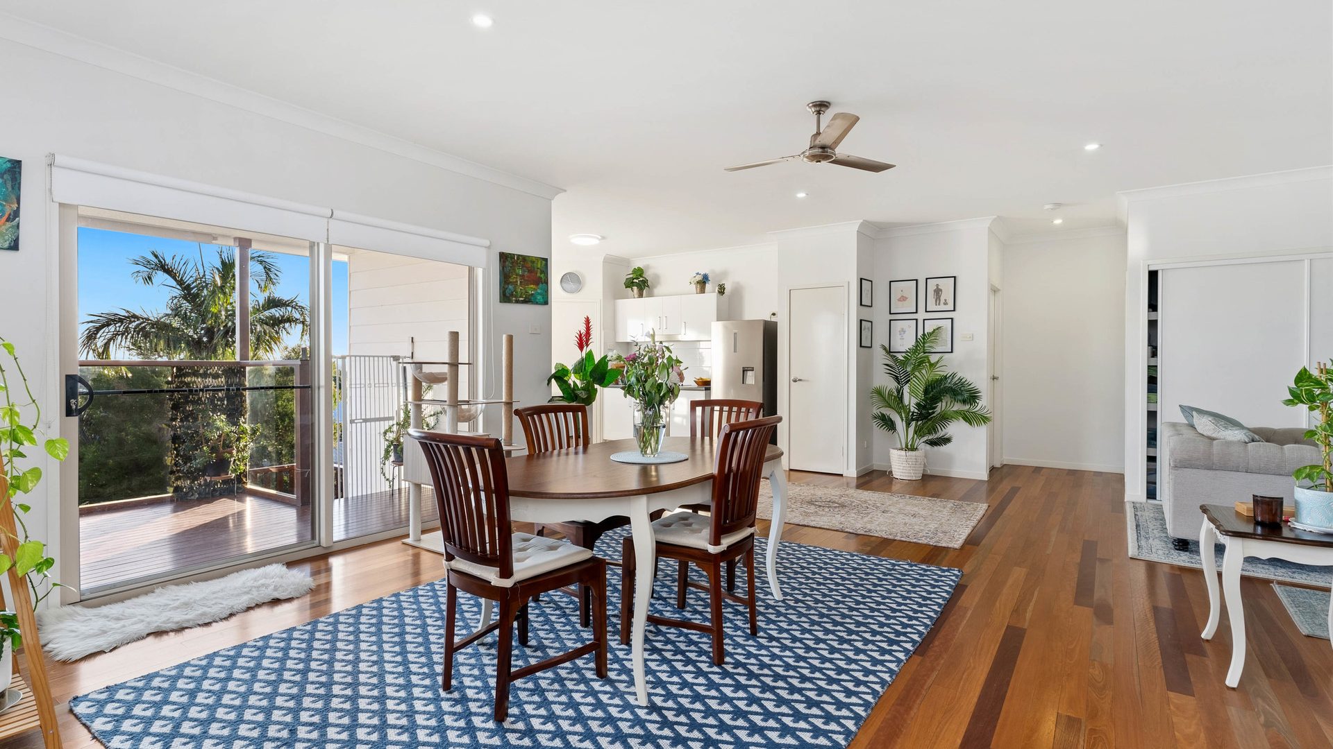 For Sale - 41 Rosewood Drive - New Property in Norman Gardens - Real Estate by Michael Millers