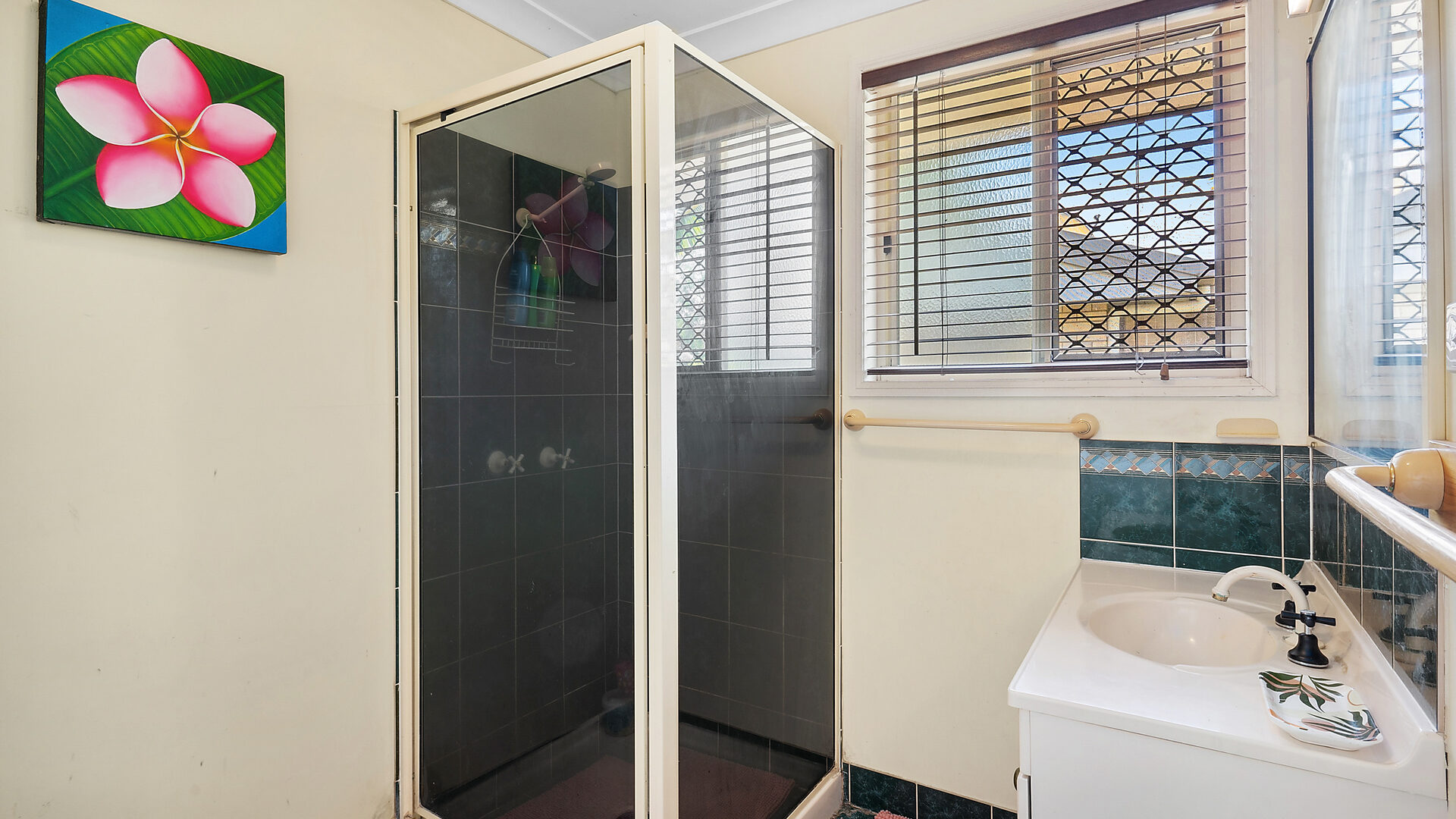 Sold - 72 Carara Drive - New Property in Kawana - Real Estate by Michael Millers